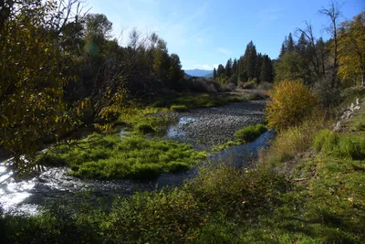 DSC_6544 (Large).JPG